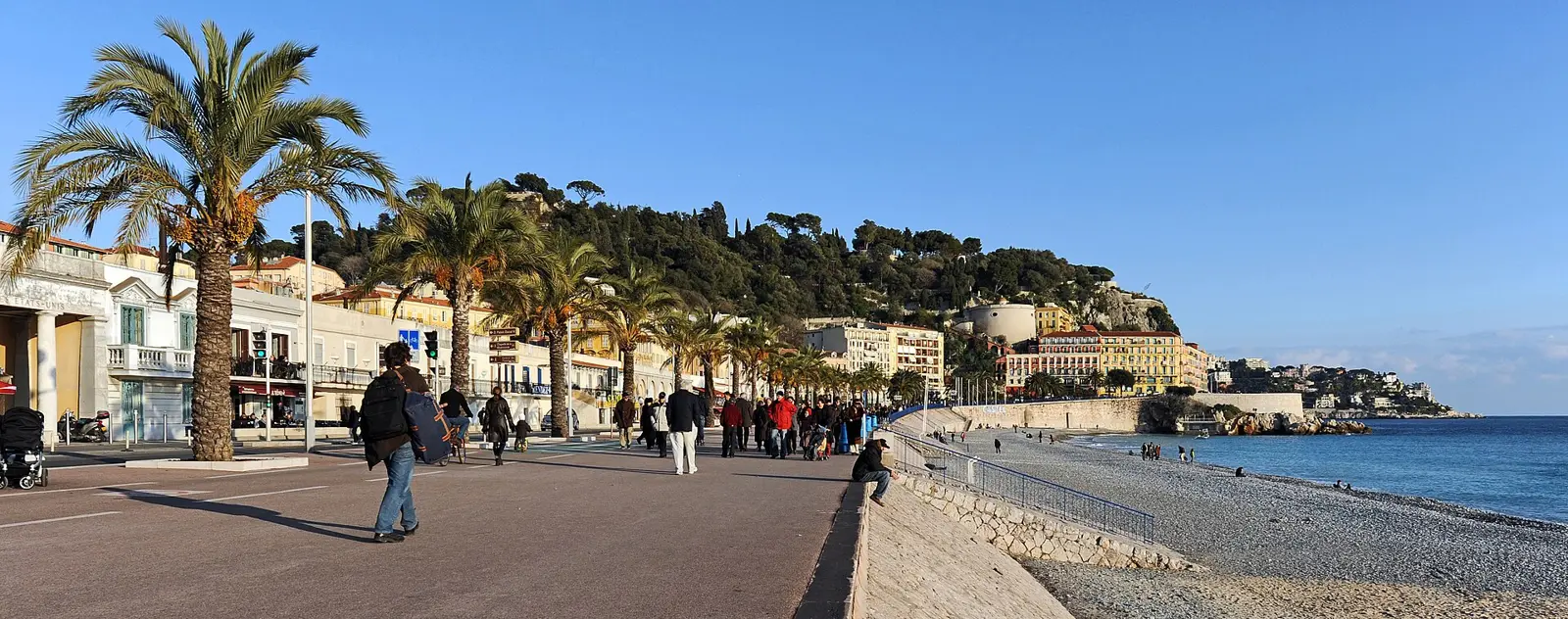 Palmiers Phoenix le long de la promenade des Anglais à Nice
